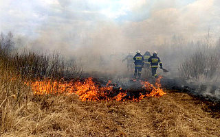 Pomagali w ratowaniu Biebrzańskiego Parku Narodowego. Strażacy i leśnicy: bez samolotów nie udałoby się opanować pożaru